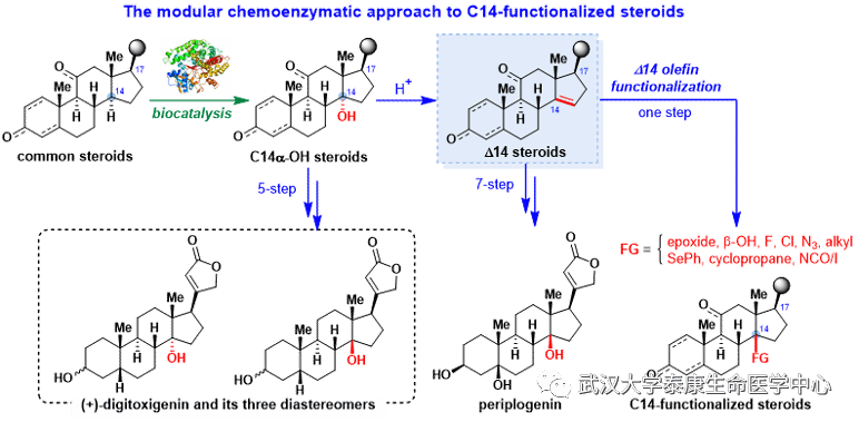 8C61